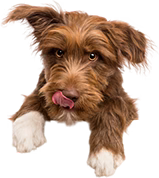 Utile in tanti momenti